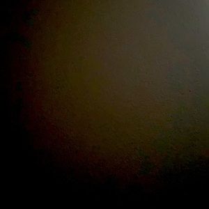 Meet your Posher, Claudia